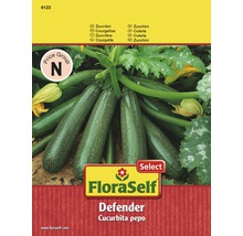 Zucchini 'Defender' FloraSelf Select F1 Hybride Gemüsesamen