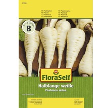 FloraSelf Samen Halblange Weiße Pastinaken