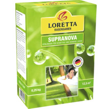 Loretta Supranova Rasensamenpackung für schattige und sonnige Lagen