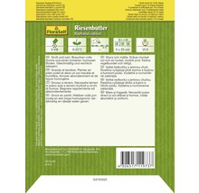 FloraSelf Riesensalat Rettichsamenpackung