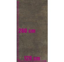 XXL Wand- und Bodenfliese Industrial Copper anpoliert 120 x 260 x 0,7 cm R10 A-thumb-0