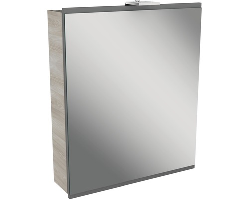 Spiegelschrank FACKELMANN Lima 60 x 15,5 x 73 cm grau 1-türig LED IP 20