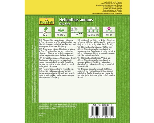 Verpackung Sonnenblumensamen der Sorte King Kong mit Informationen zu Aussaat, Standort und Pflege