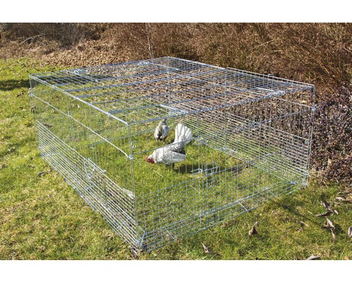 Jungtierfreilaufgehege KERBL mit Sonnenschutz 144x112x60 cm Rechteckiger Hühnerstall aus Draht auf einer Rasenfläche mit zwei Hühnern