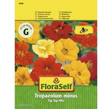 FloraSelf Kapuzinerkresse Tip Top Mix Samenpackung