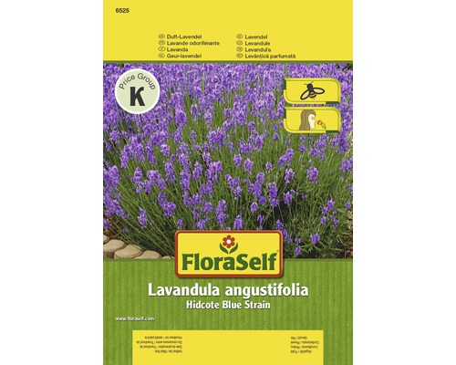 Lavendel 'Hidcote Blue Strain' FloraSelf samenfestes Saatgut Blumensamen-0