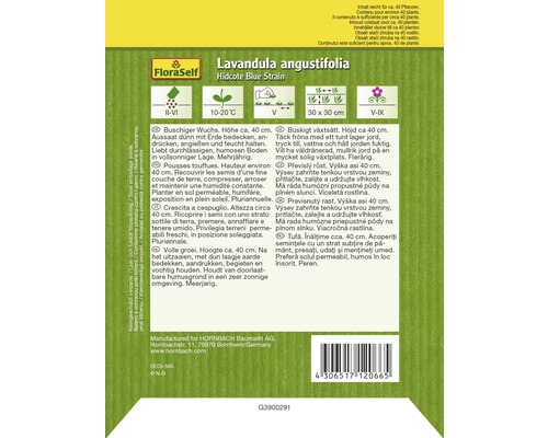 Packung Lavandula angustifolia Hidcote Blue Strain Samen von FloraSelf