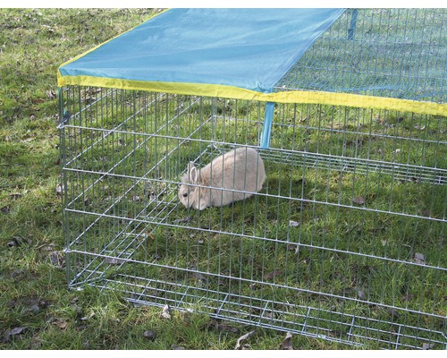 Kaninchen im Freilaufgehege mit Sonnenschutz