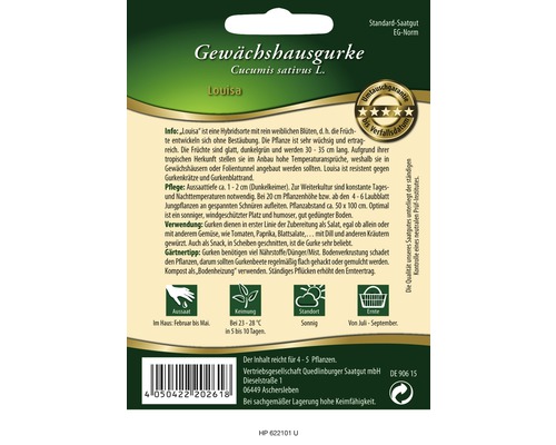 Samenpackung Gewächshausgurke Louisa