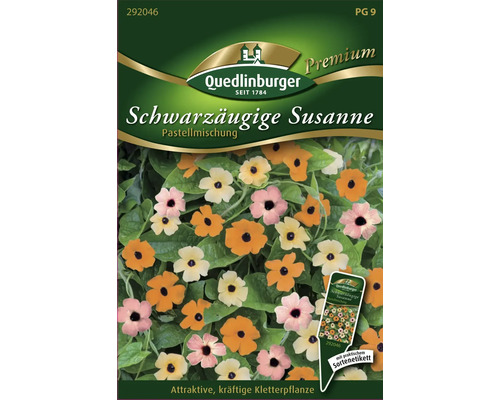 Schwarzäugige Susanne Quedlinburger Blumensamen