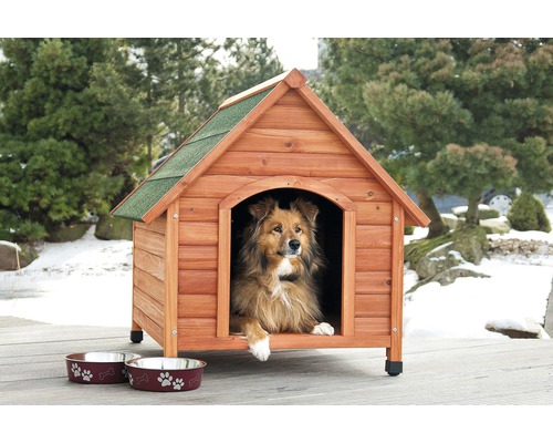 Hund in Hundehaus aus Holz mit zwei Futternäpfen