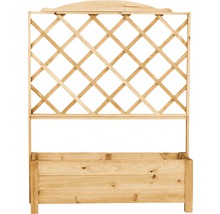 Pflanzkübel mit Spalier „Botanica“ aus Holz 110 x 32 x 140 cm braun