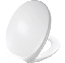 Toilettendeckel aus Kunststoff