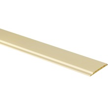 Kunststoffpaneel Duropan Uni beige 10x105x2700 mm-thumb-0