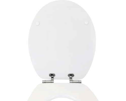 Toilettendeckel aus Kunststoff mit Chromscharnieren