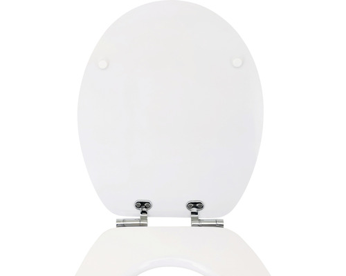 Toilettendeckel aus Kunststoff mit Scharnieren