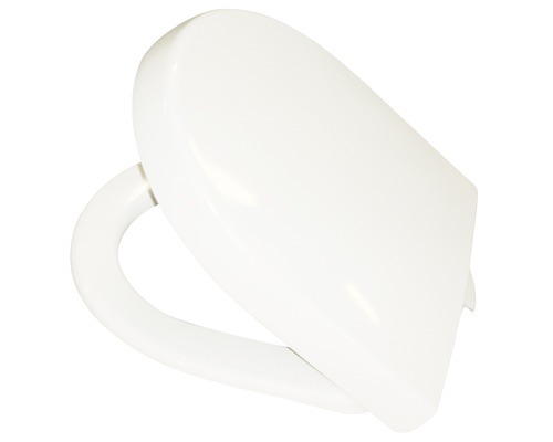 Toilettendeckel aus Kunststoff