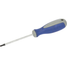 Schraubendreher 100 mm Torx T25