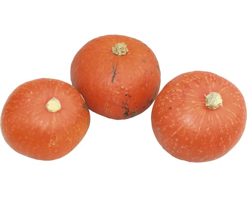 Drei orangefarbene Hokkaidokürbisse