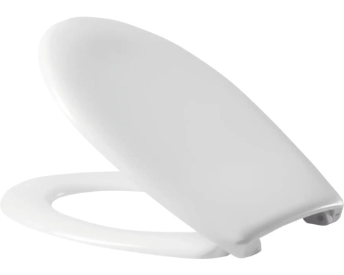 Toilettendeckel aus Kunststoff