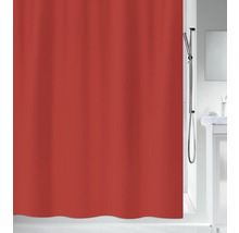 Badezimmer mit Duschvorhang