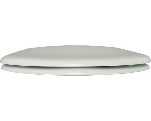 Toilettendeckel aus Kunststoff