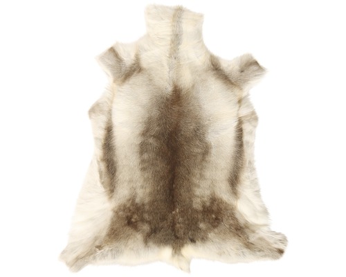 Rentierfell als Dekoration oder Teppich