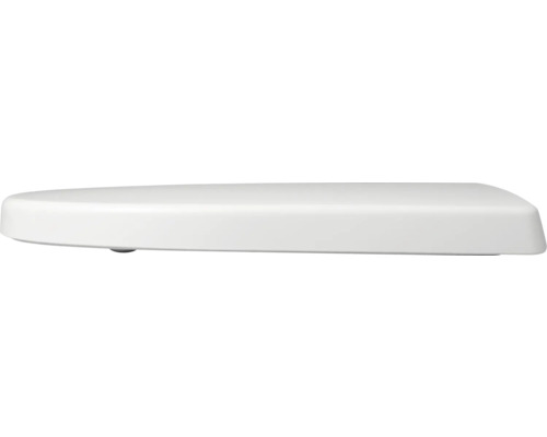 Toilettendeckel aus Kunststoff