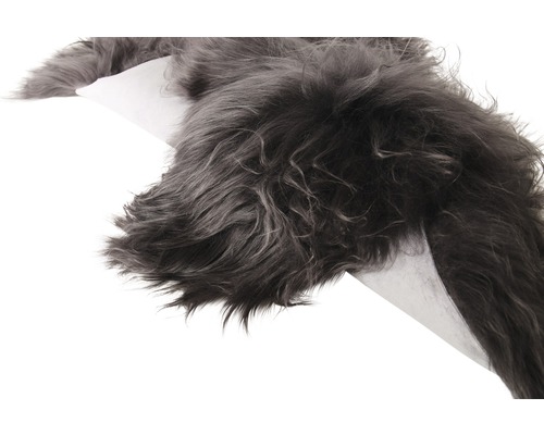 Grauer Schaffellteppich auf weißem Hintergrund