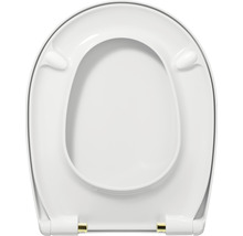 Toilettendeckel aus Kunststoff