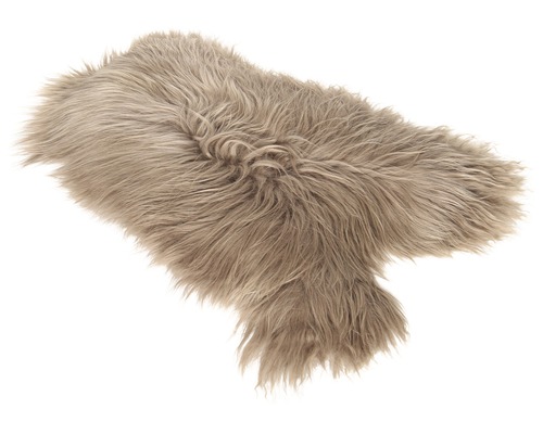 Langfloriger Teppich