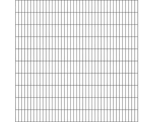 Doppelstabmatte ALBERTS Typ 6/5/6 200 x 200 cm anthrazit Zaunelement mit rechteckigen Maschen