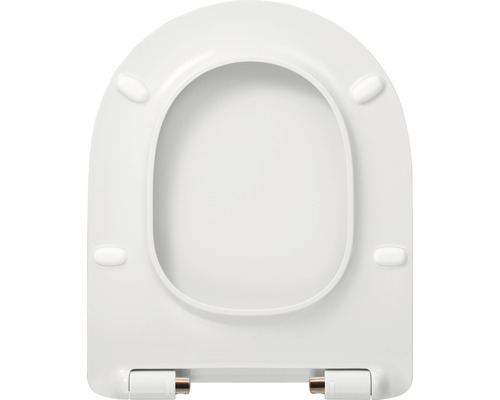 Toilettendeckel aus Kunststoff