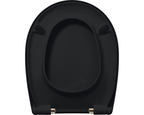 Schwarzer WC-Sitz