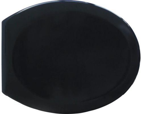 Toilettendeckel aus Kunststoff