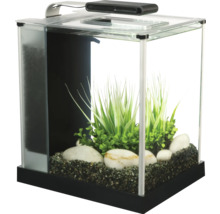 Dekoratives Aquarium mit Kies, Pflanzen und Steinen