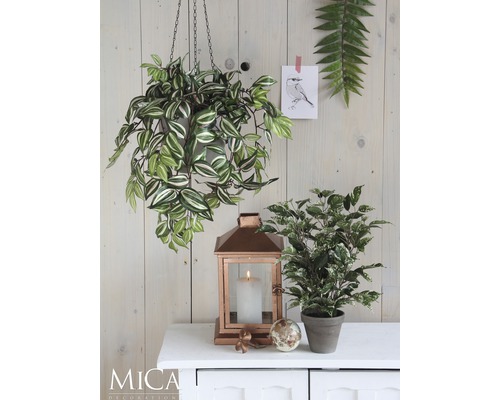 Dekorative Szene mit Hängepflanze, Laterne, Topfpflanze und Dekorationsobjekt auf einem Schrank