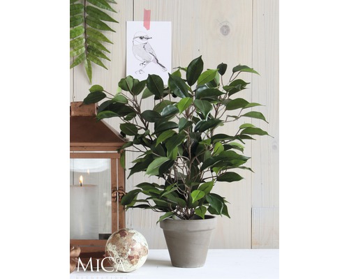 Dekorative Kunstpflanze im Topf, Arrangement mit Laterne und Dekoration