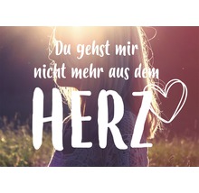 Du gehst mir nicht mehr aus dem Herz Schriftzug vor Silhouette einer Person