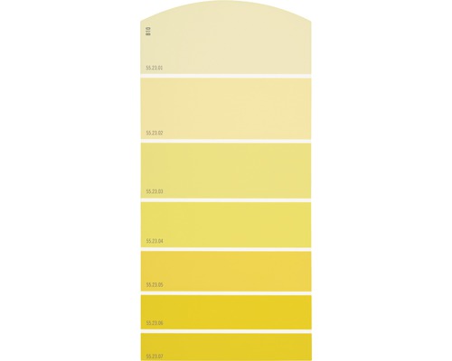 Farbmusterkarte Farbtonkarte B10 Farbwelt gelb 21x10 cm