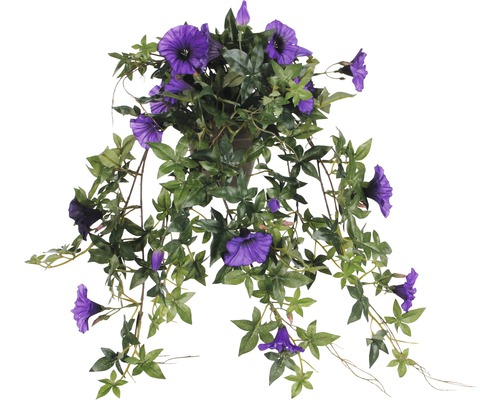 Hänge-Kunstblume Petunie hängend violett