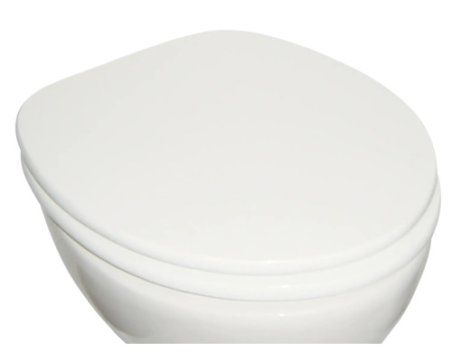 Toilette mit Toilettendeckel