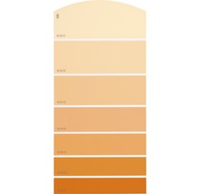 Farbmusterkarte mit verschiedenen Orangetönen