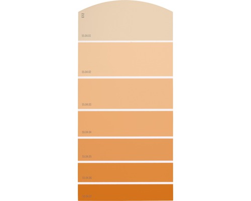 Farbmusterkarte Farbtonkarte C12 Farbwelt orange 21x10 cm