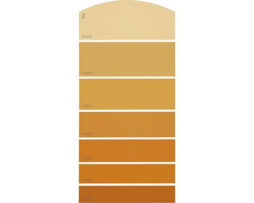 Farbmusterkarte Farbtonkarte C16 Farbwelt orange 21x10 cm