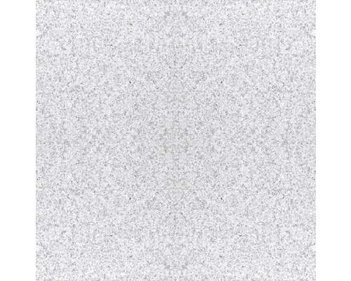 Granit Wand- und Bodenfliese G603 grau 30,5 x 30,5 cm