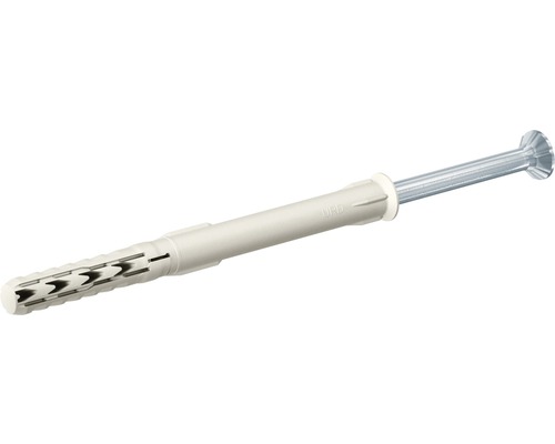 Nageldübel mit Schraube