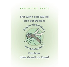 Illustration mit dem Zitat: Erst wenn eine Mücke sich auf Deinem Hoden niederlässt, wirst Du lernen, Probleme ohne Gewalt zu lösen.