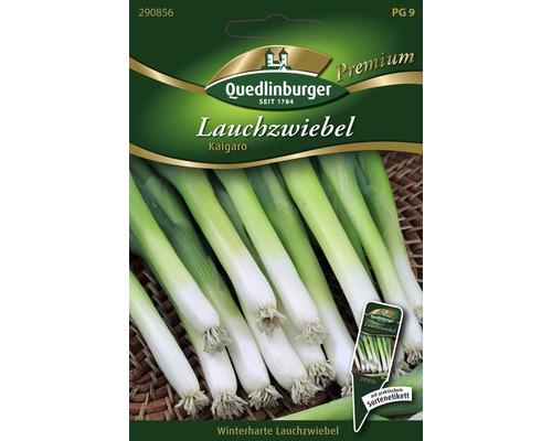 Lauchzwiebel 'Kaigaro' Quedlinburger Gemüsesamen
