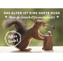 Grafik mit Eichhörnchen, Axt und Nuss mit dem Text: Das Alter ist eine harte Nuss. Aber die knackst Du auch noch! Alles Gute!